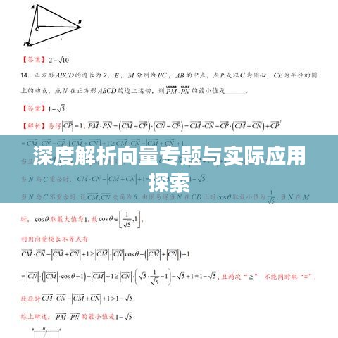 深度解析向量专题与实际应用探索