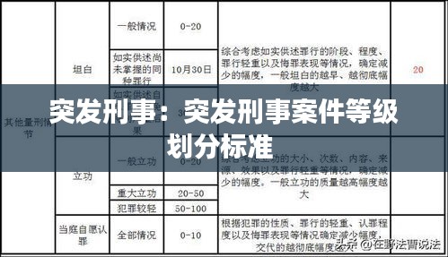 突发刑事：突发刑事案件等级划分标准 