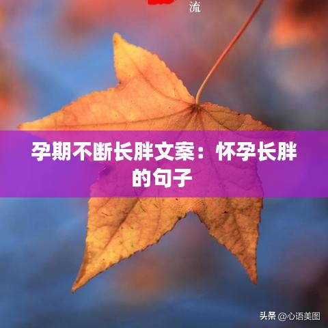 孕期不断长胖文案：怀孕长胖的句子 