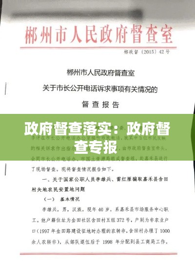 政府督查落实：政府督查专报 