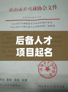 后备人才项目起名规范：后备人才培养项目命名 