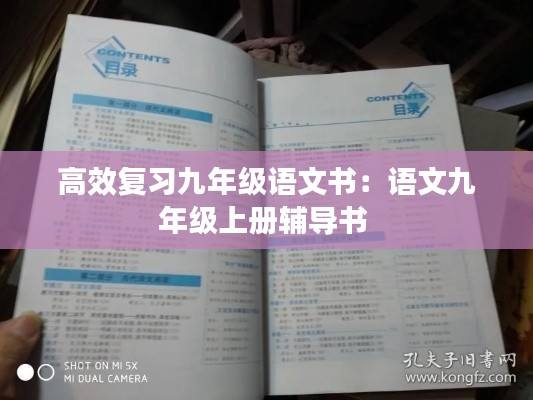 高效复习九年级语文书：语文九年级上册辅导书 