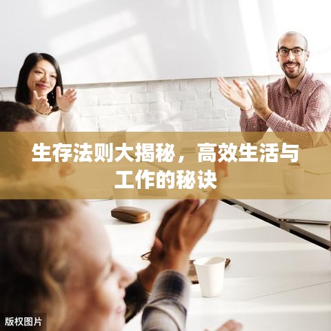 生存法则大揭秘，高效生活与工作的秘诀