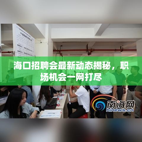 海口招聘会最新动态揭秘，职场机会一网打尽