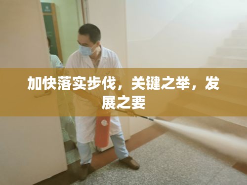 加快落实步伐，关键之举，发展之要