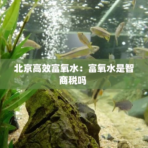 北京高效富氧水：富氧水是智商税吗 