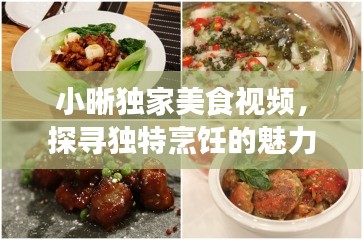 小晰独家美食视频，探寻独特烹饪的魅力，让人垂涎欲滴！