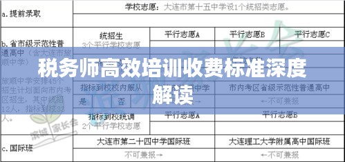 税务师高效培训收费标准深度解读