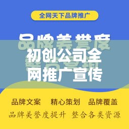 初创公司全网推广宣传：初创企业通过广告进行推广,存在哪些问题 