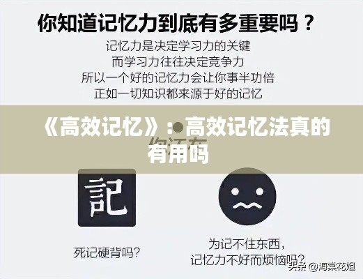 《高效记忆》：高效记忆法真的有用吗 