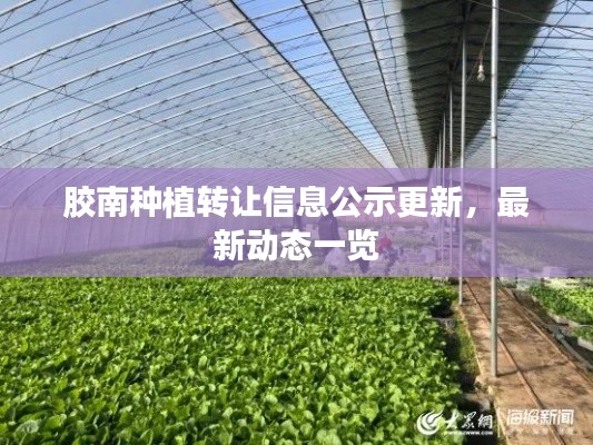 胶南种植转让信息公示更新，最新动态一览