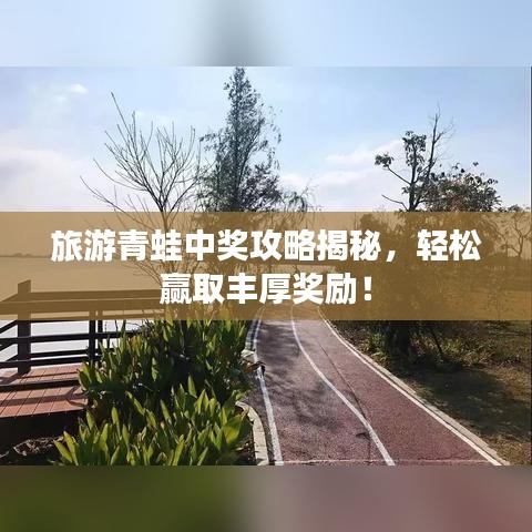 旅游青蛙中奖攻略揭秘，轻松赢取丰厚奖励！