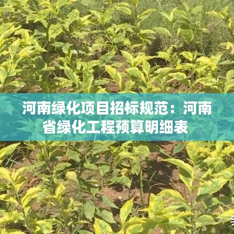 河南绿化项目招标规范：河南省绿化工程预算明细表 