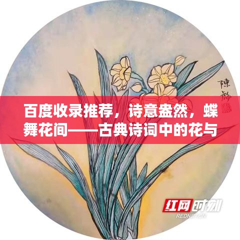 百度收录推荐，诗意盎然，蝶舞花间——古典诗词中的花与蝶