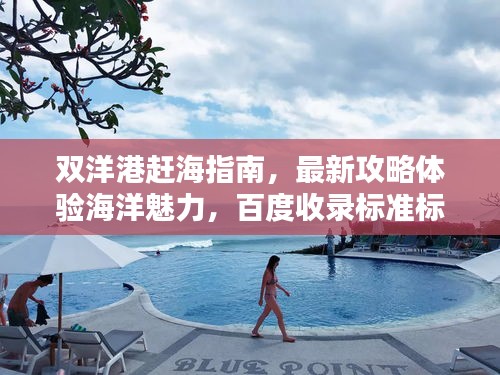 双洋港赶海指南，最新攻略体验海洋魅力，百度收录标准标题