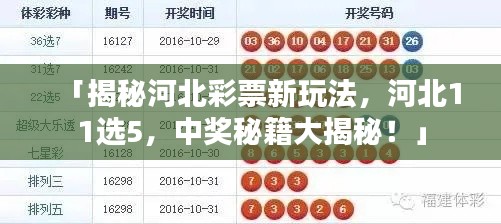 「揭秘河北彩票新玩法，河北11选5，中奖秘籍大揭秘！」