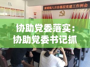 协助党委落实：协助党委书记抓好党建 