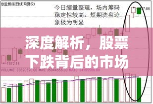 深度解析，股票下跌背后的市场现象与隐藏原因揭秘