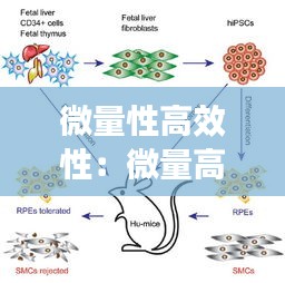 微量性高效性：微量高效作用于靶细胞靶器官 