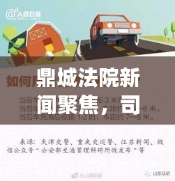 鼎城法院新闻聚焦，司法公正与高效执行力并驾齐驱，共创法治新篇章