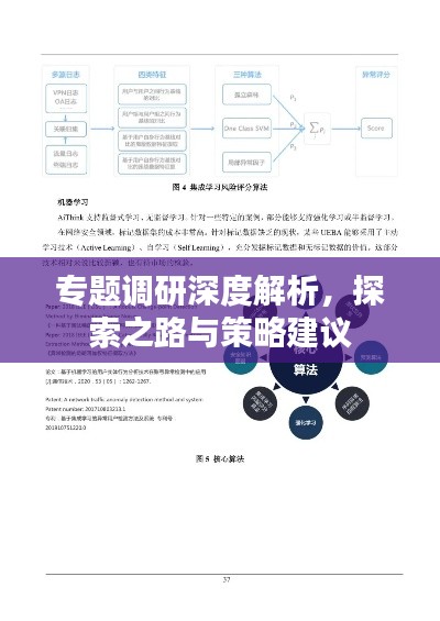 专题调研深度解析，探索之路与策略建议