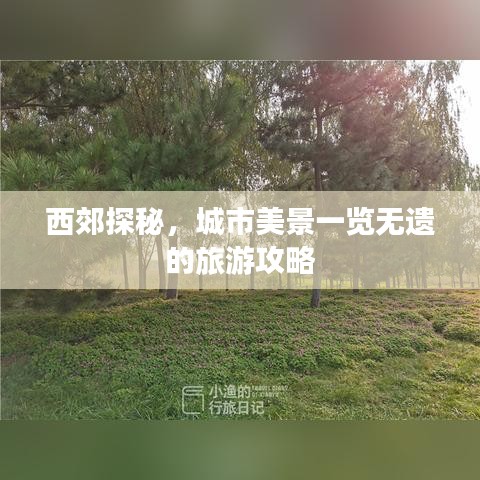 西郊探秘，城市美景一览无遗的旅游攻略