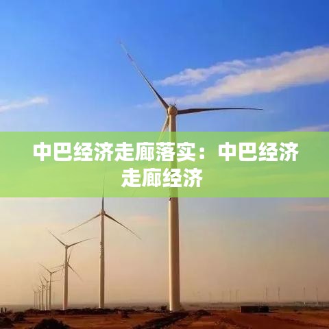 中巴经济走廊落实：中巴经济走廊经济 