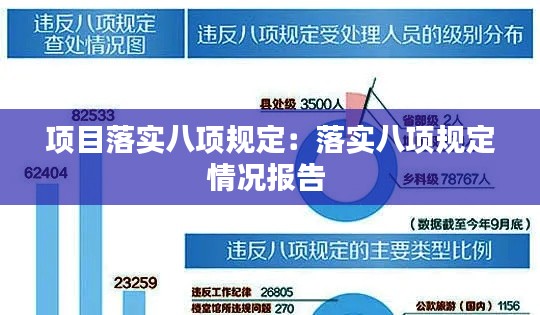 项目落实八项规定：落实八项规定情况报告 