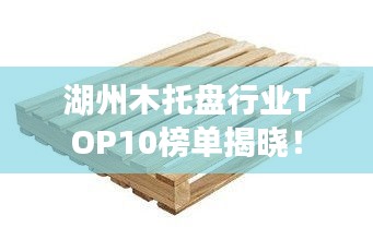 湖州木托盘行业TOP10榜单揭晓！