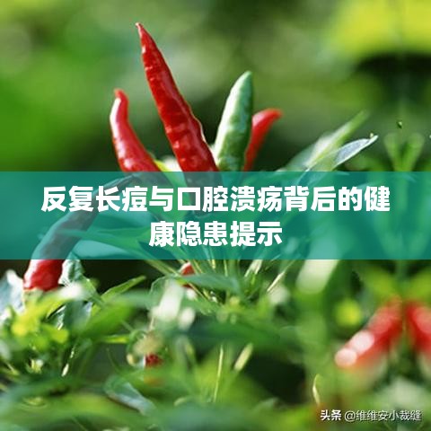 反复长痘与口腔溃疡背后的健康隐患提示