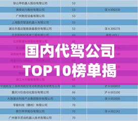 国内代驾公司TOP10榜单揭晓，行业深度洞察与趋势走向分析！