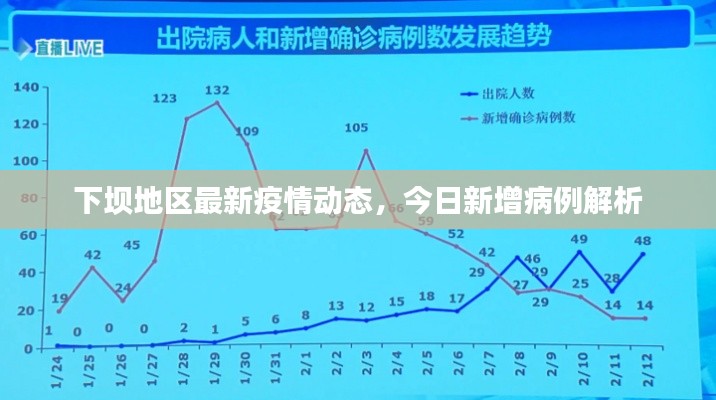 下坝地区最新疫情动态，今日新增病例解析