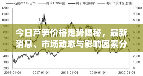 今日芦笋价格走势揭秘，最新消息、市场动态与影响因素分析