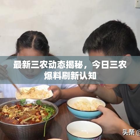 最新三农动态揭秘，今日三农爆料刷新认知