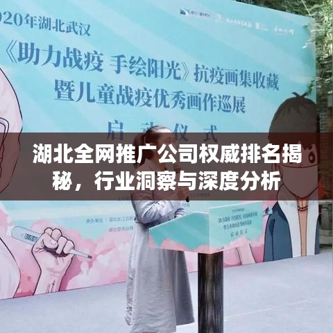 湖北全网推广公司权威排名揭秘，行业洞察与深度分析