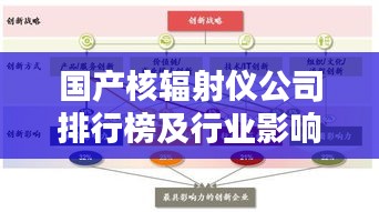 国产核辐射仪公司排行榜及行业影响力解析