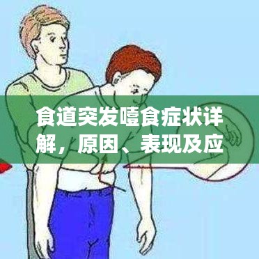 食道突发噎食症状详解，原因、表现及应对方法