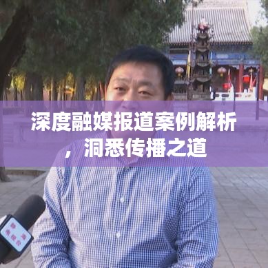 深度融媒报道案例解析，洞悉传播之道