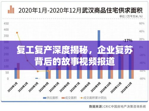 复工复产深度揭秘，企业复苏背后的故事视频报道