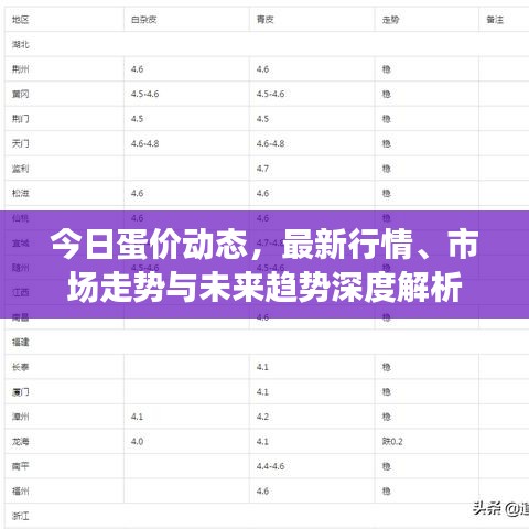 今日蛋价动态，最新行情、市场走势与未来趋势深度解析