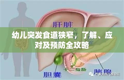 幼儿突发食道狭窄，了解、应对及预防全攻略