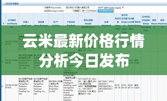 云米最新价格行情分析今日发布