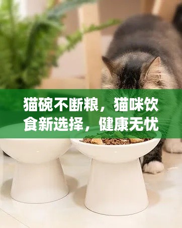 猫碗不断粮，猫咪饮食新选择，健康无忧养宠秘籍！