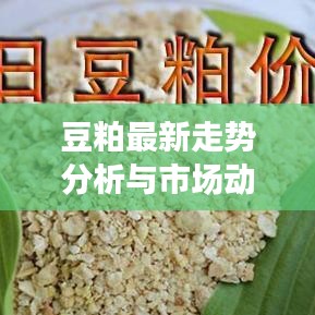 豆粕最新走势分析与市场动态消息速递