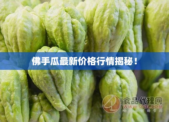 佛手瓜最新价格行情揭秘！