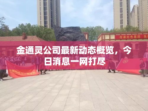 金通灵公司最新动态概览，今日消息一网打尽