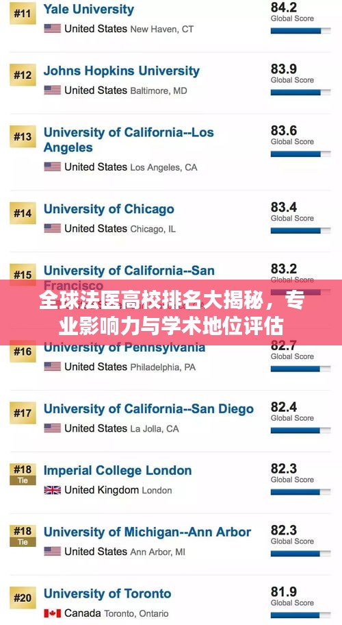 全球法医高校排名大揭秘，专业影响力与学术地位评估