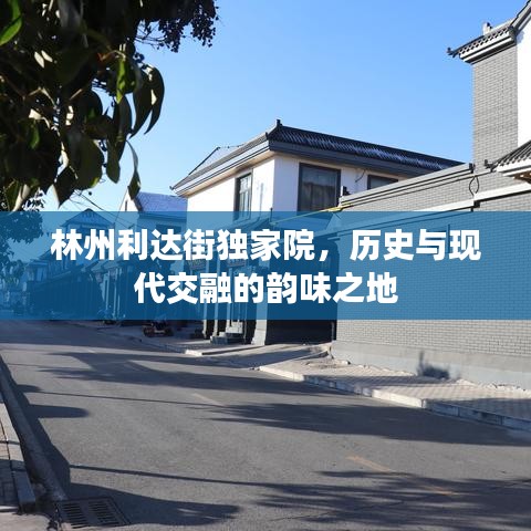 林州利达街独家院，历史与现代交融的韵味之地