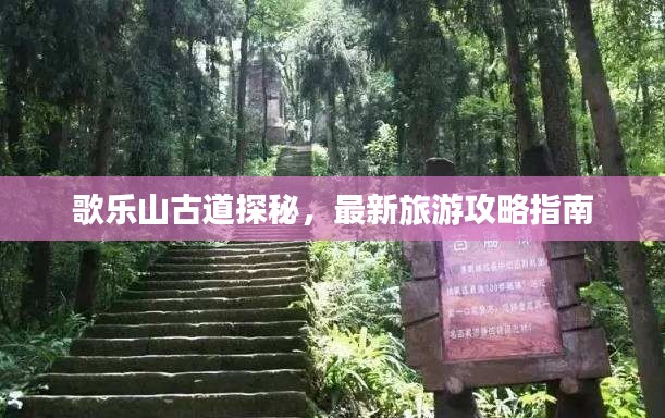 歌乐山古道探秘，最新旅游攻略指南