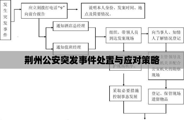 荆州公安突发事件处置与应对策略